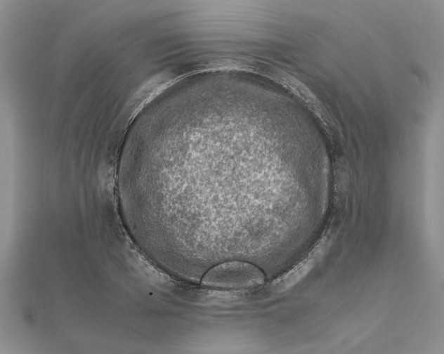 X0000111680985200908141446