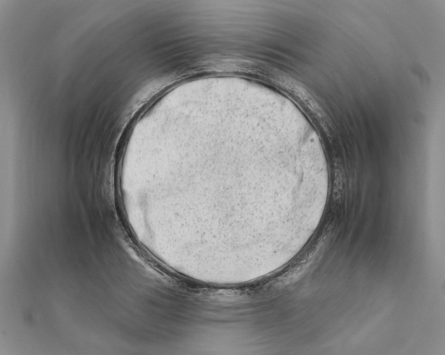 X0000111680986200908141446