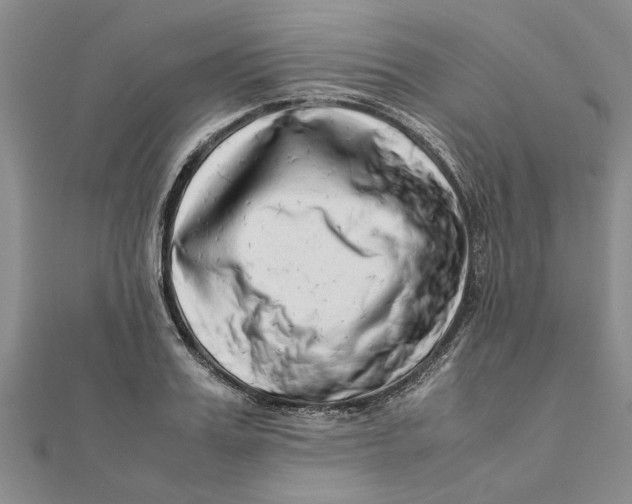 X0000111680987200908141446