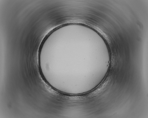 X0000111680988200908141446