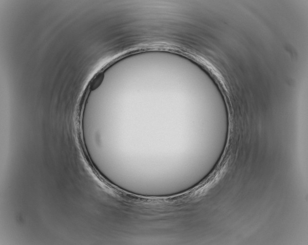 X0000111680989200908141446