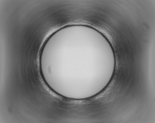 X0000111680990200908141446