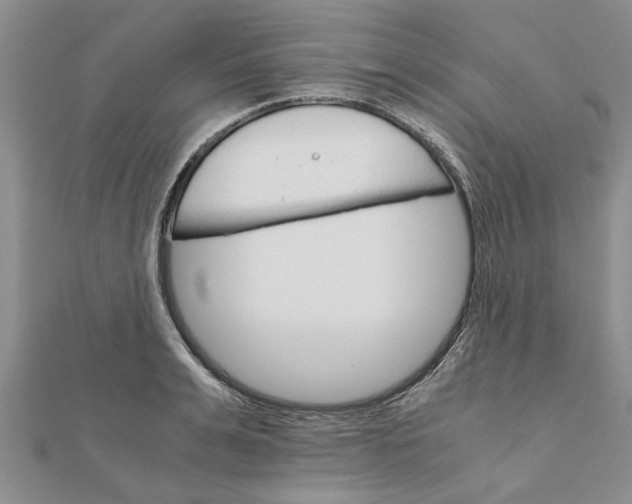 X0000111680991200908141446