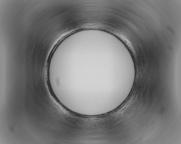 X0000111680992200908141446