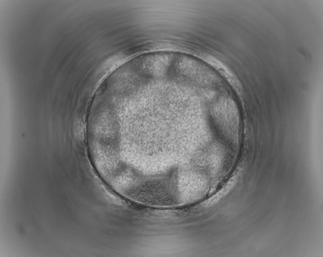 X0000111680993200908141446