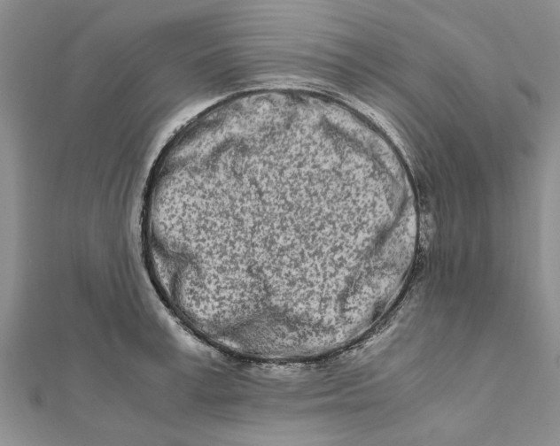 X0000111680995200908141446