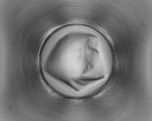 X0000111680996200908141446