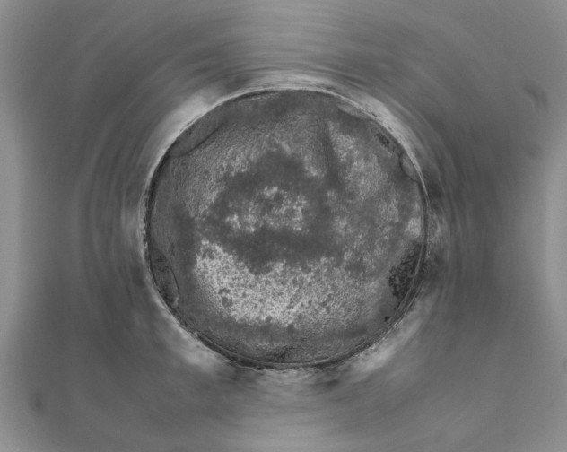 X0000111680997200908141446