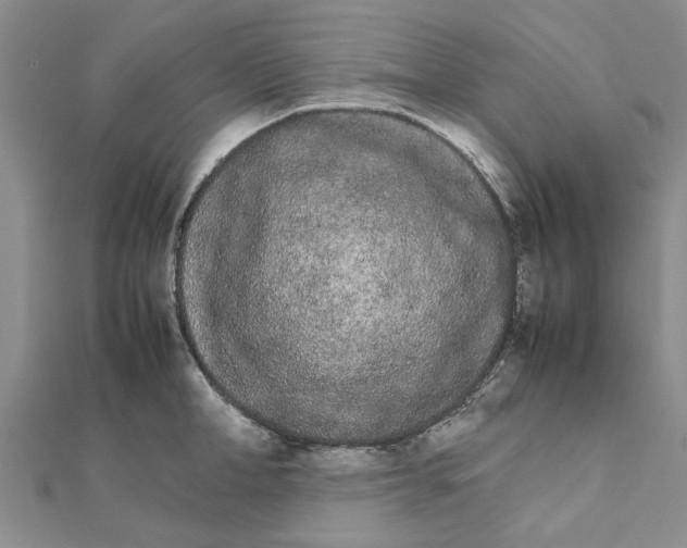 X0000111680998200908141446