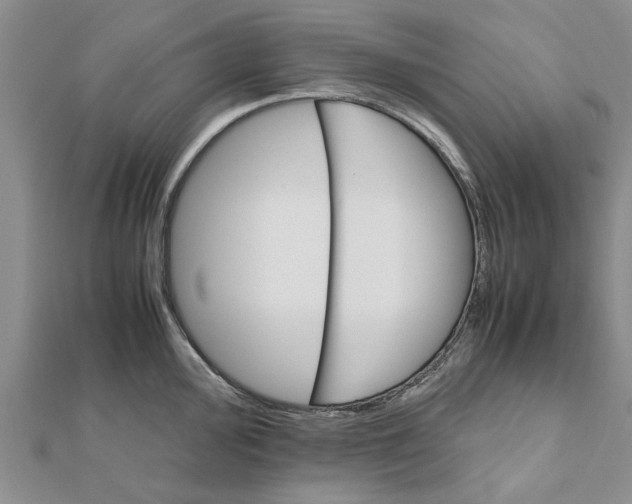 X0000111681000200908141446