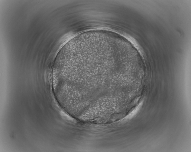 X0000111681001200908141446