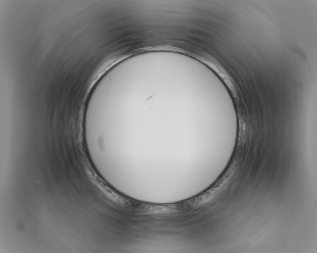 X0000111681002200908141446