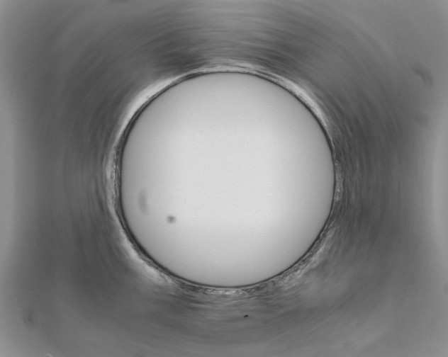 X0000111681003200908141446