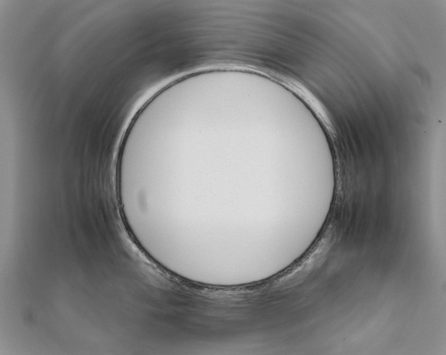 X0000111681004200908141446