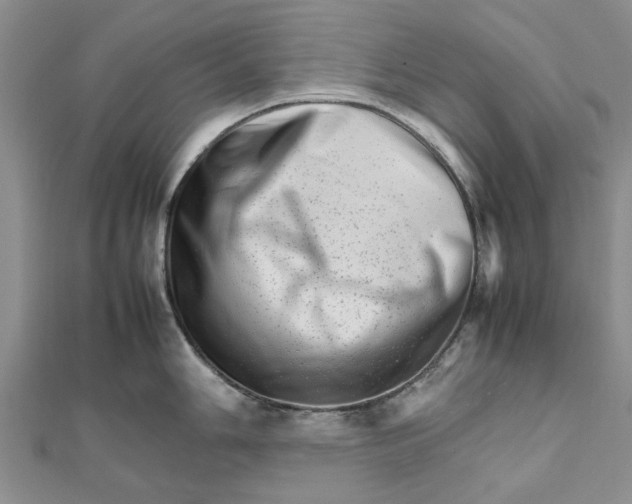 X0000111681006200908141446