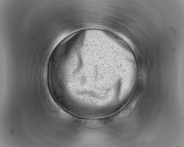 X0000111681007200908141446