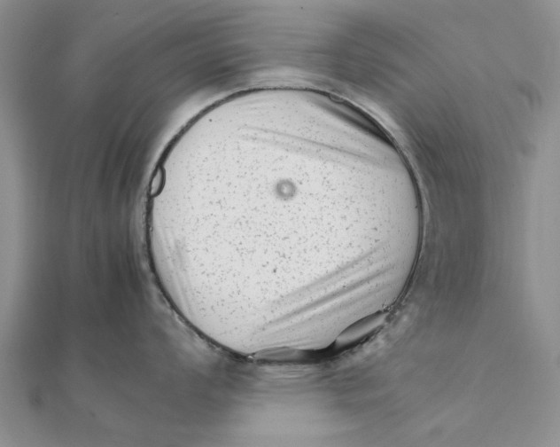 X0000111681008200908141446