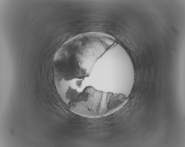 X0000111681009200908141445