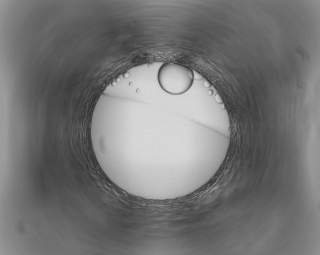 X0000111681010200908141445