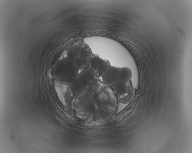 X0000111681011200908141445