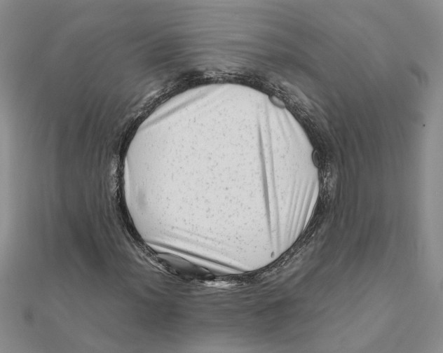 X0000111681012200908141445