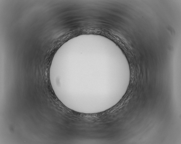 X0000111681013200908141445