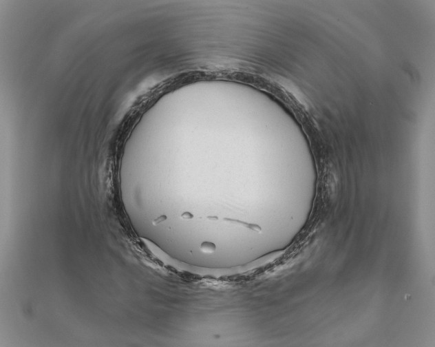 X0000111681016200908141445