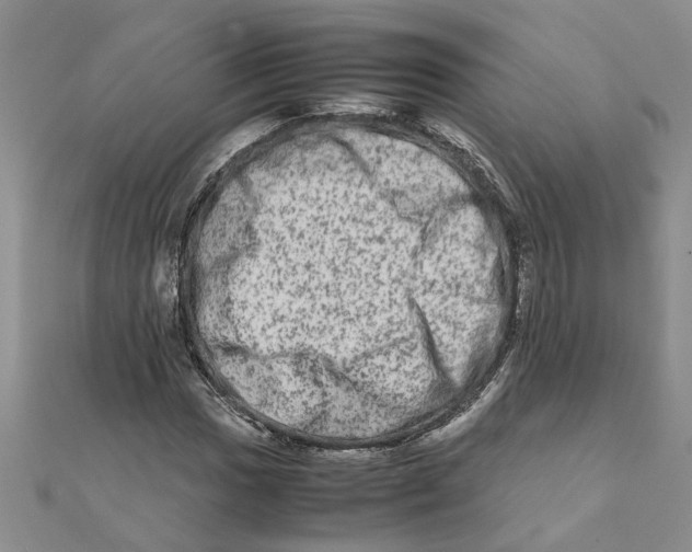 X0000111681017200908141445