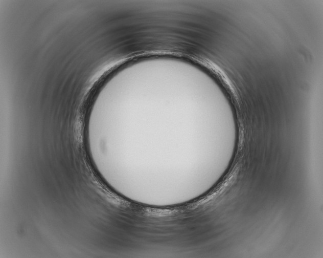 X0000111681019200908141445