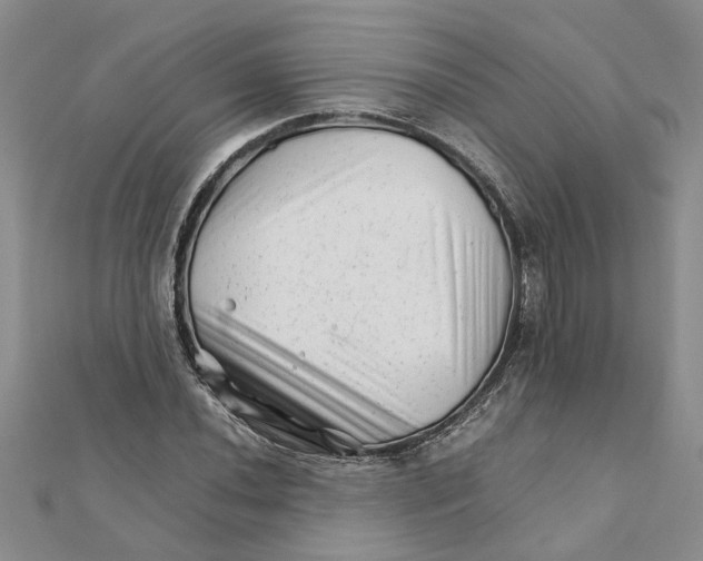 X0000111681020200908141445