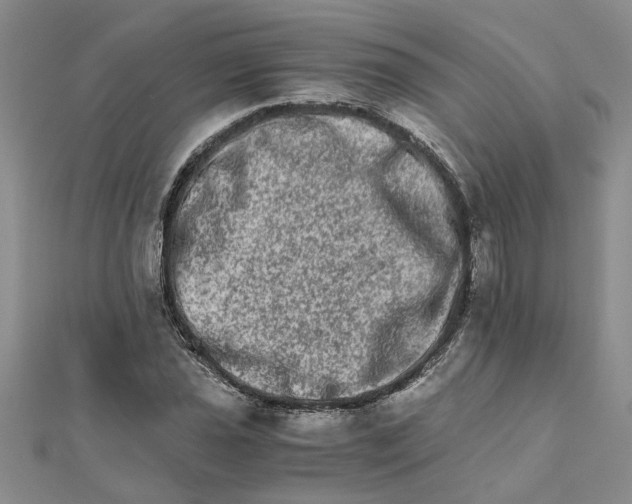 X0000111681021200908141445