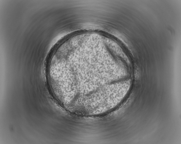 X0000111681022200908141445