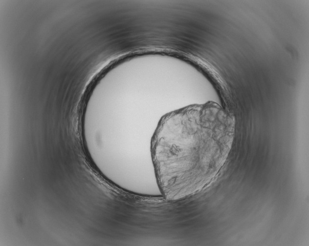 X0000111681023200908141445