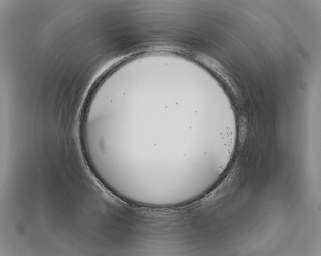 X0000111681024200908141445