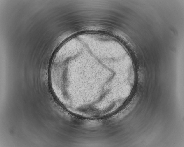 X0000111681025200908141445