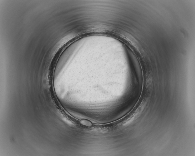 X0000111681026200908141445