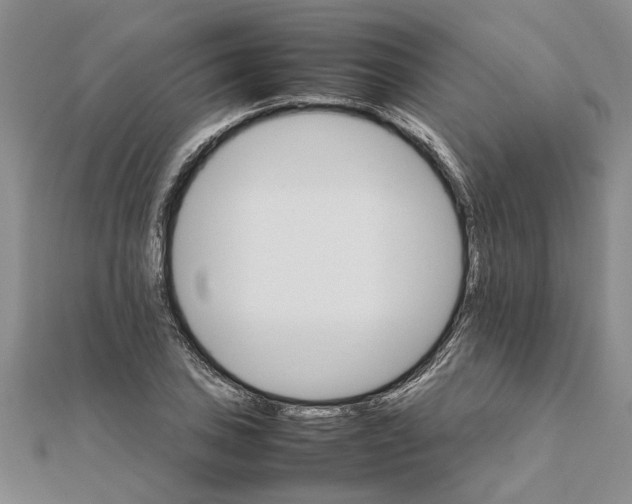 X0000111681027200908141445