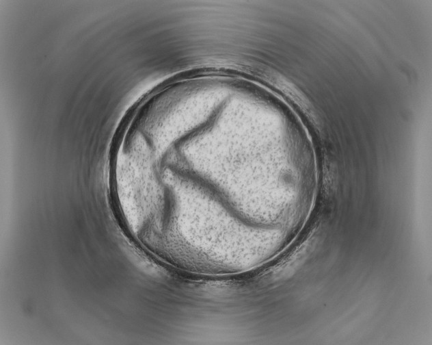 X0000111681028200908141445