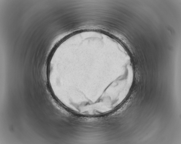 X0000111681030200908141445