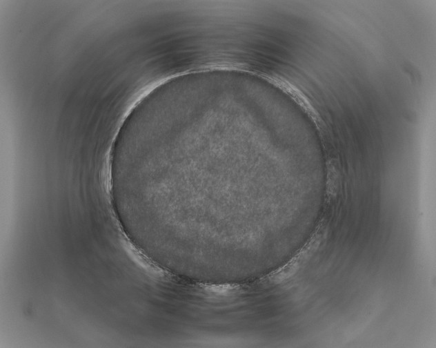 X0000111681031200908141445