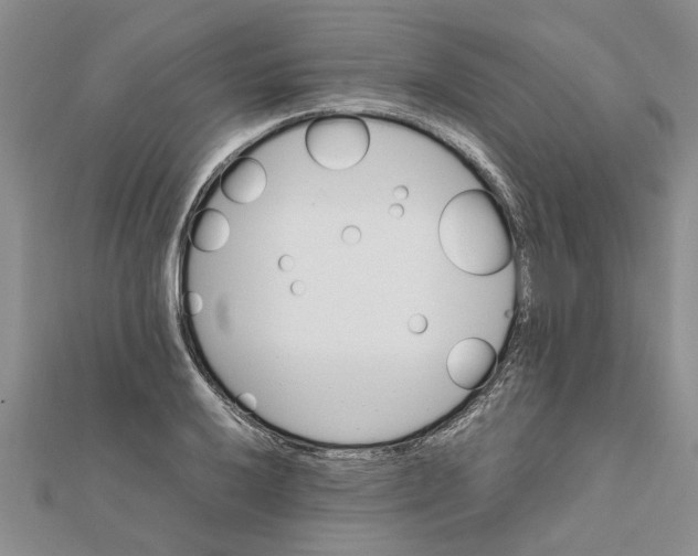 X0000111681032200908141445