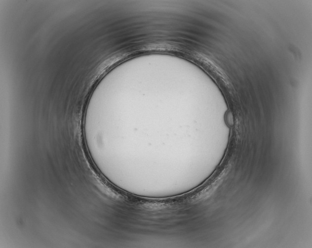 X0000111681033200908141445