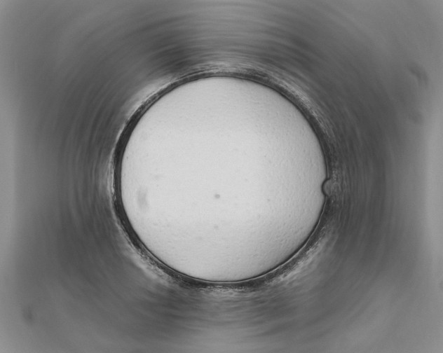 X0000111681034200908141446