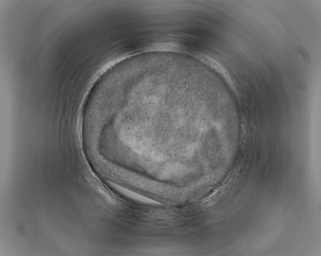 X0000111681035200908141446