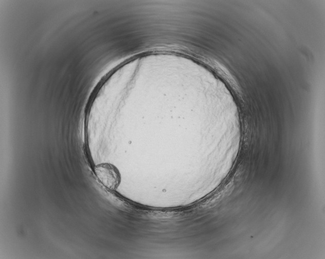 X0000111681036200908141446