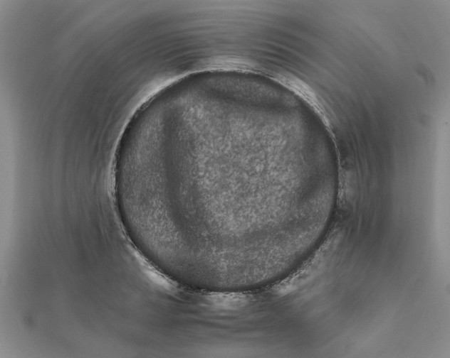 X0000111681037200908141446