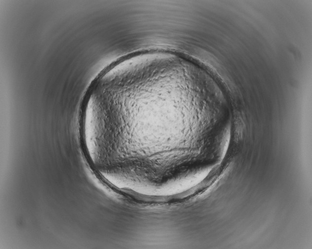 X0000111681038200908141446