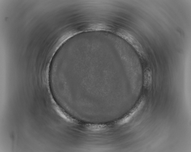 X0000111681039200908141446