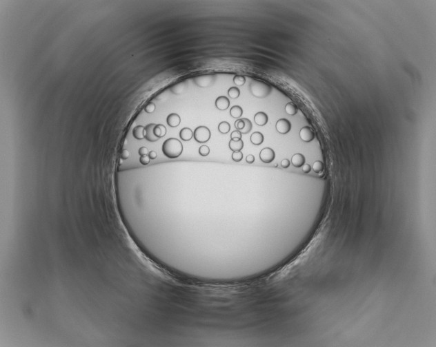 X0000111681041200908141446