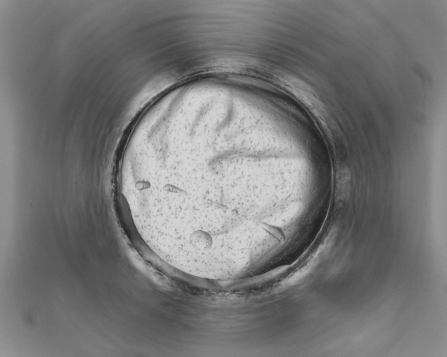 X0000111681042200908141446